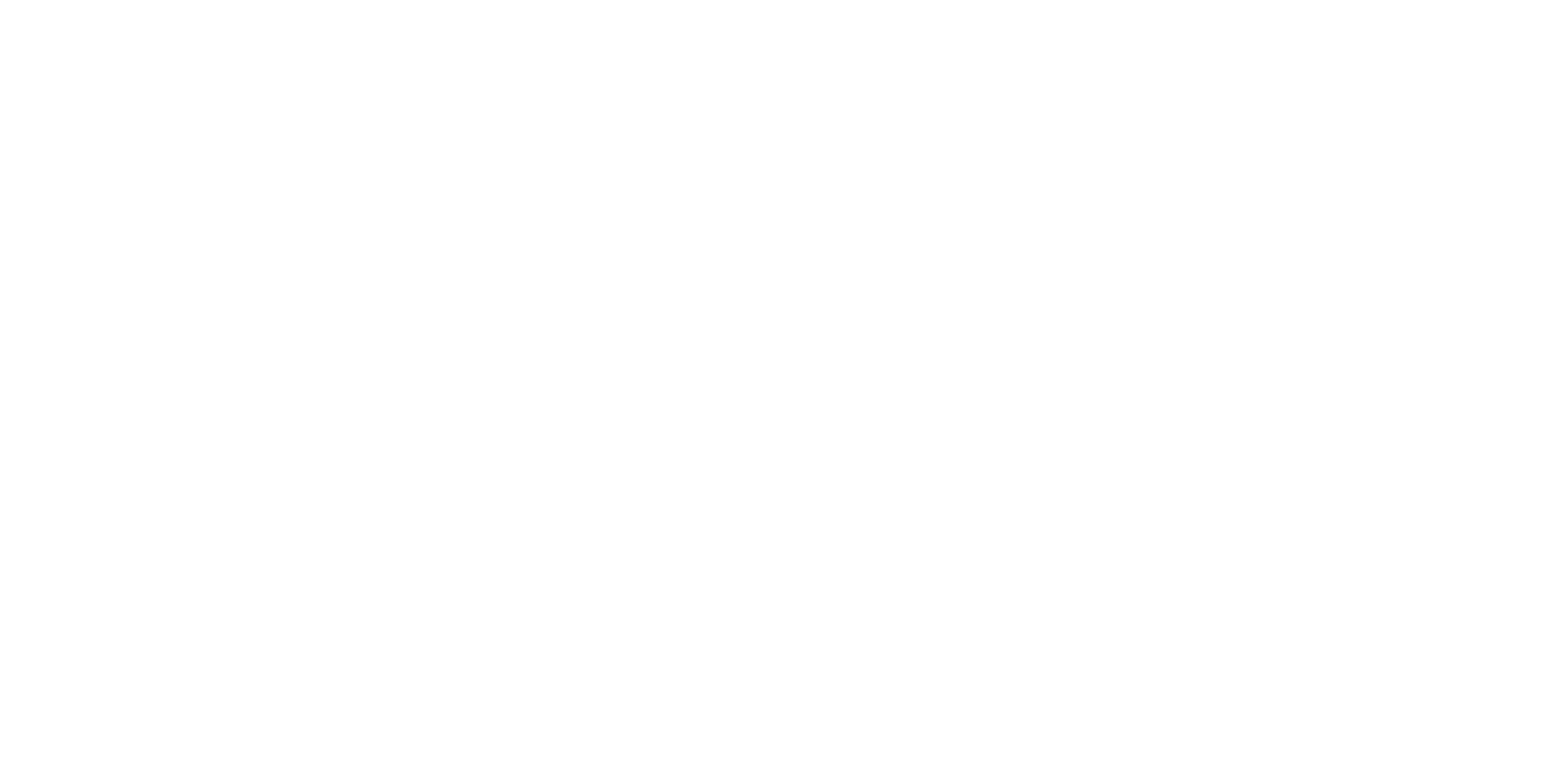 Bennos Boobs Foundation logo